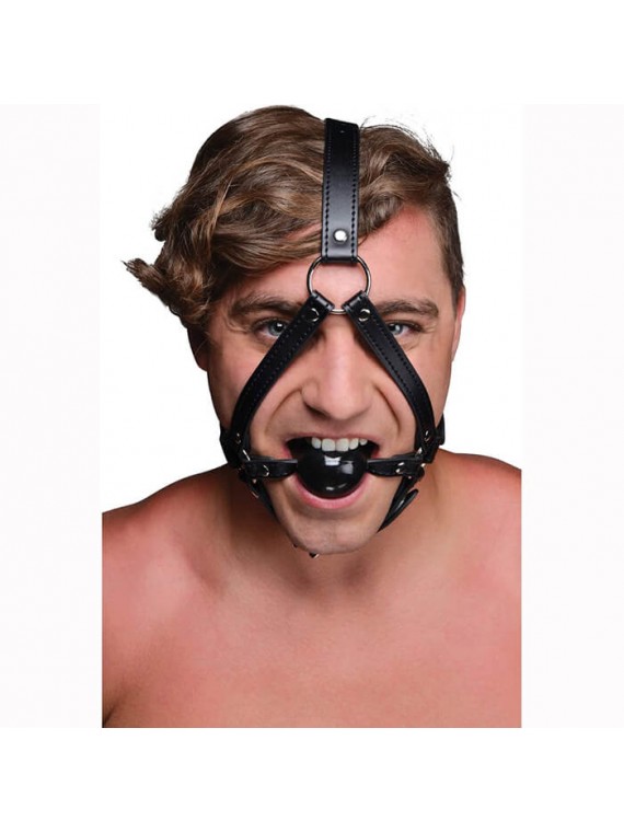 Bondage for Head With Ball Gag - nss4048035