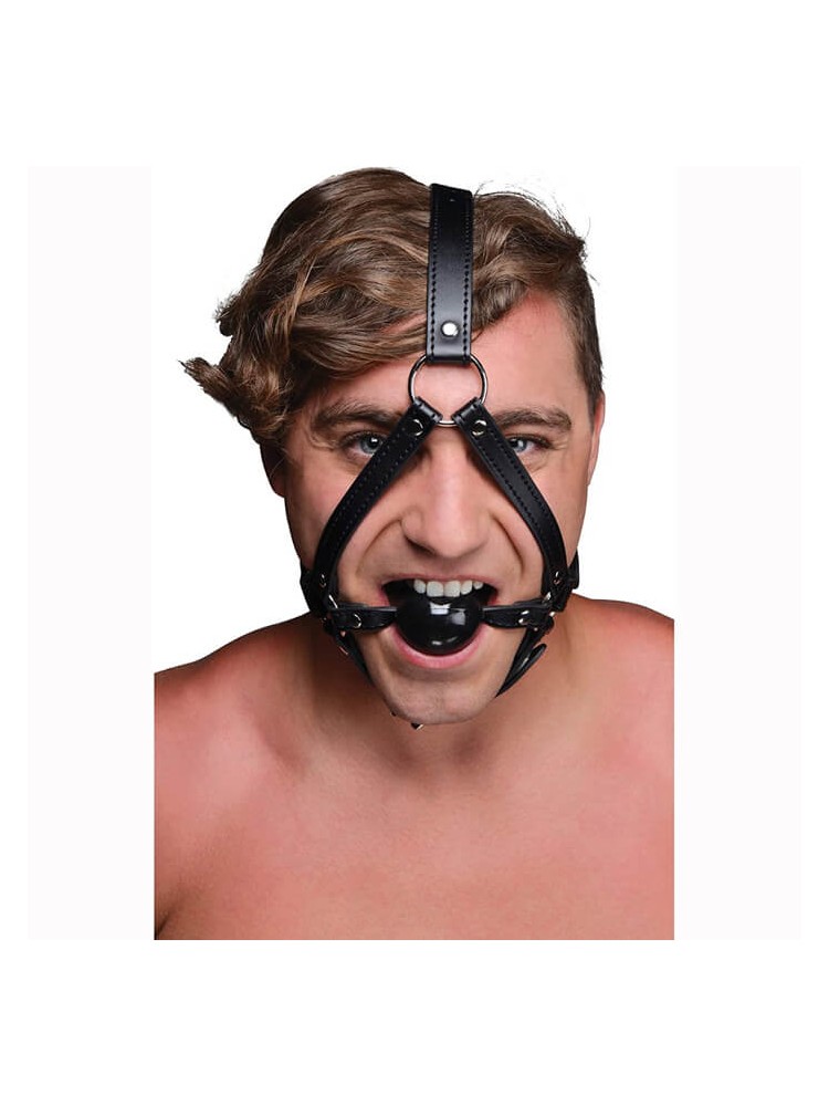 Bondage for Head With Ball Gag - nss4048035