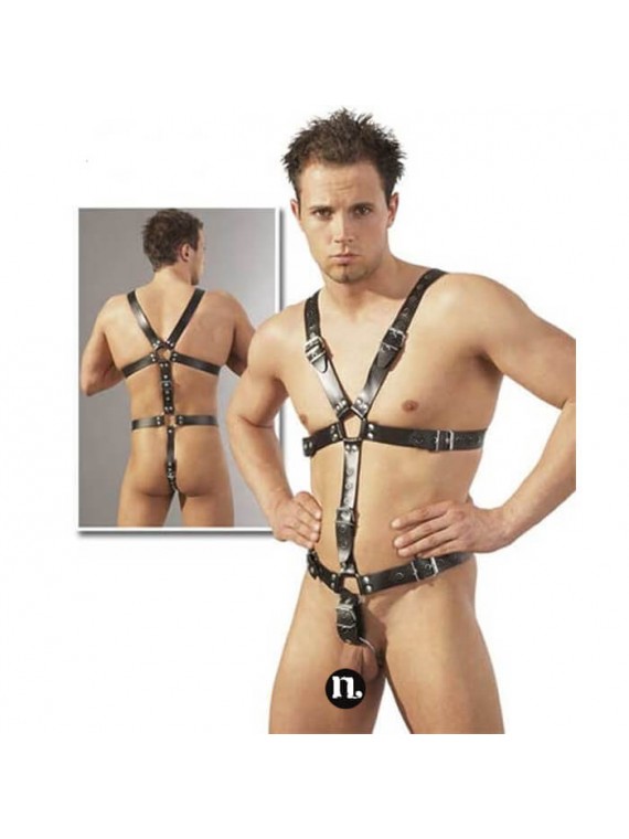 Male Accessory - nss4062101