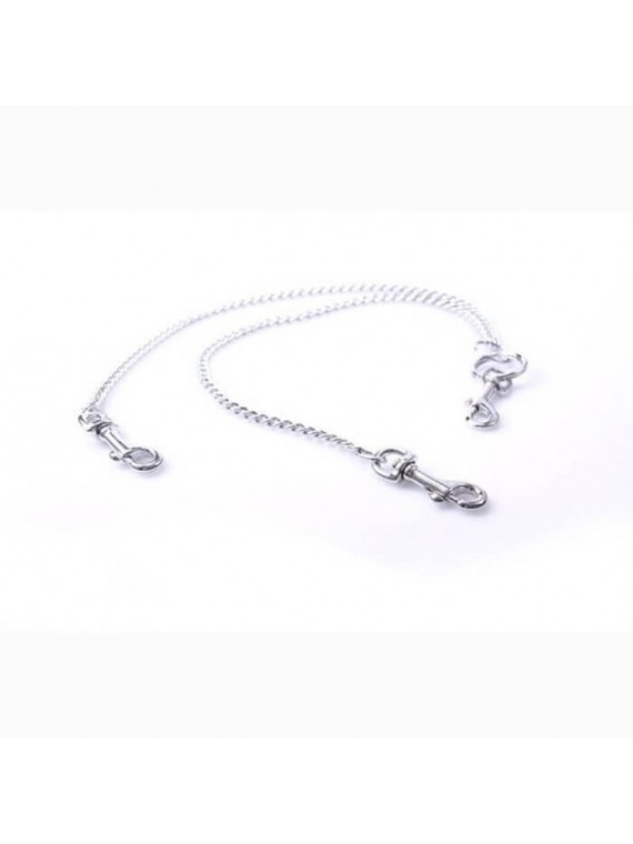 Unifying chain - nss4050701 Unifying chain - nss4050701