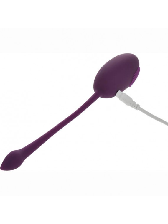 Egg Vibrator Kate Purple - nss4034125