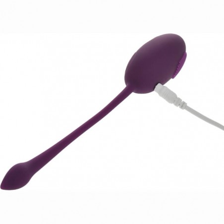 Egg Vibrator Kate Purple - nss4034125