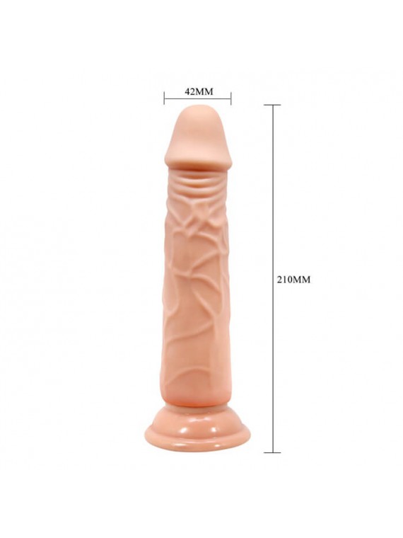 Barbara Calvin 8,3" - nss4032164
