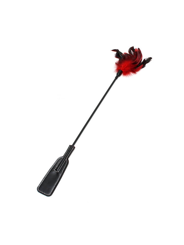 Double Pleasure Whip - nss4052105