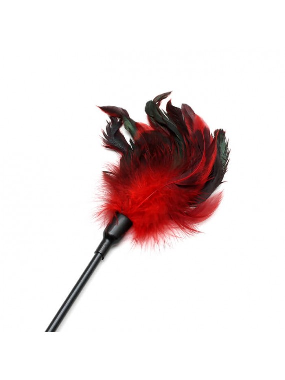 Double Pleasure Whip - nss4052105