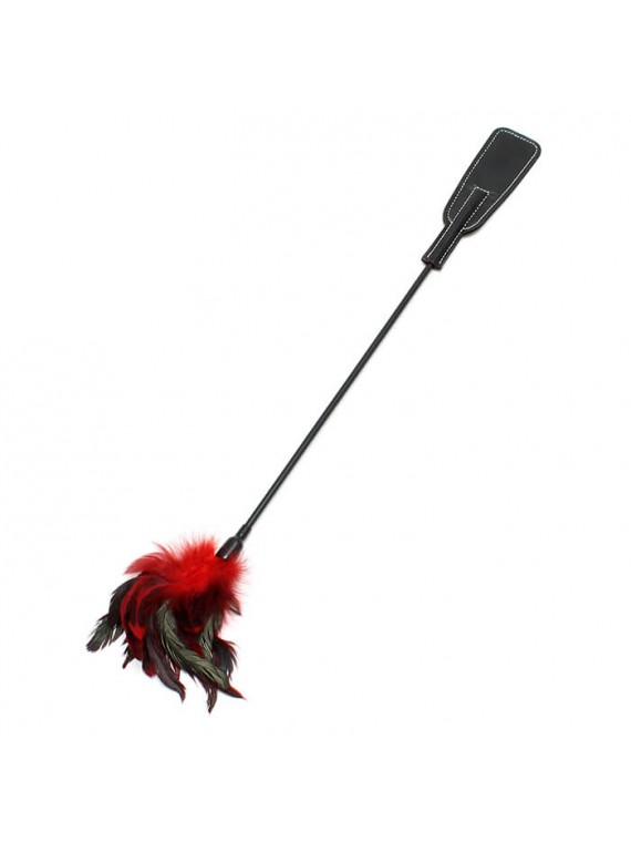 Double Pleasure Whip - nss4052105