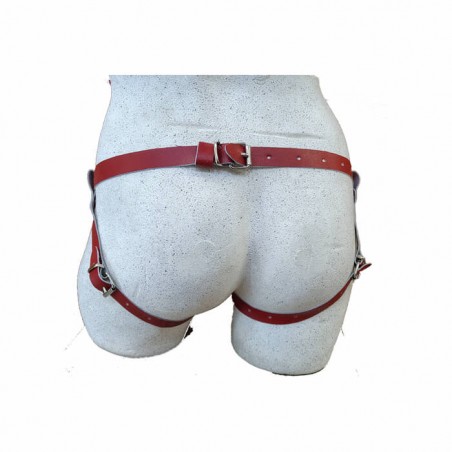 Strap On Red Small - nss4060071