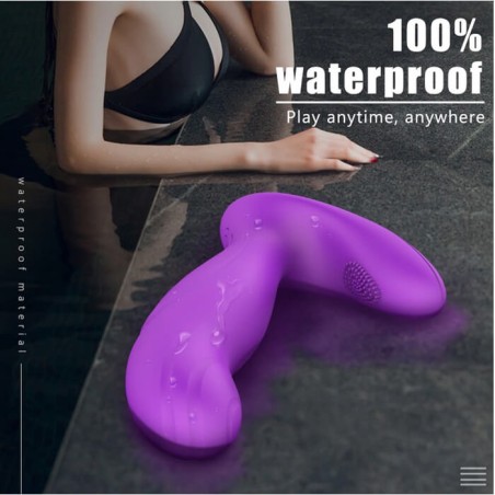 Wish Vibrator Remote Control Purple - nss4038111