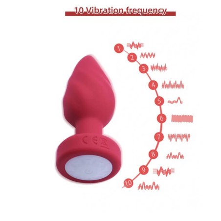 Dop Anal Led Light Vibrating - nss4038011