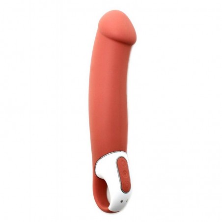 Satisfyer Vibes Master - nss4031033