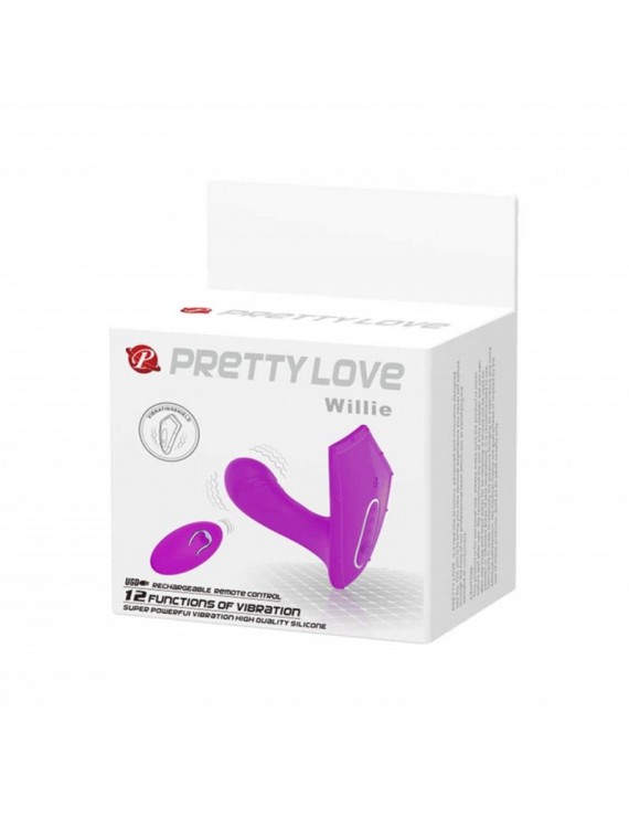 Pretty Love Willie - nss4081006