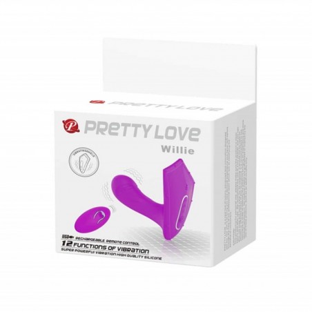 Pretty Love Willie - nss4081006