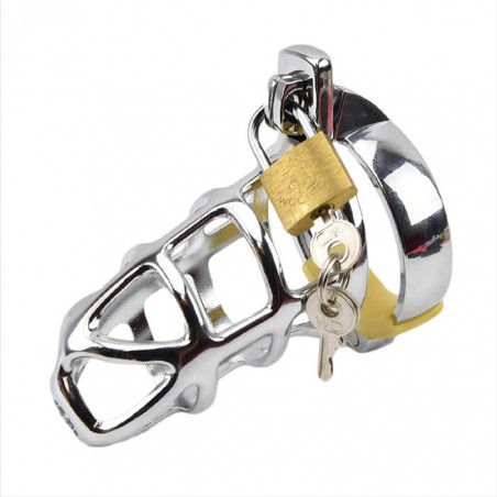 Chastity Cage Case Silver - nss4050090