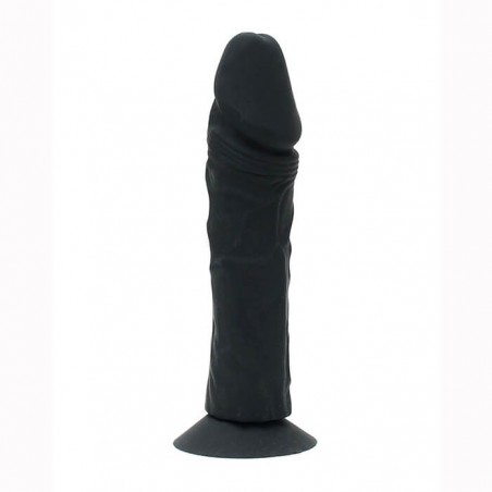 Dildo Pleasure 20cm - nss4032102